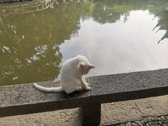 -西园戒幢律寺