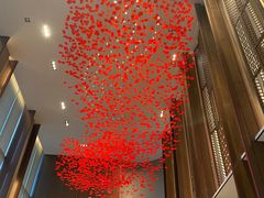 -嘉定凯悦·咖啡厅