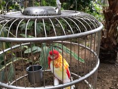 -南宫五洲植物乐园