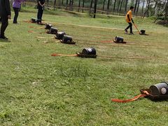 -春花秋色城市公园