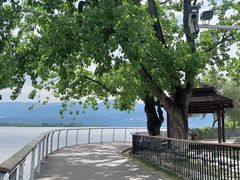-西昌邛海湿地