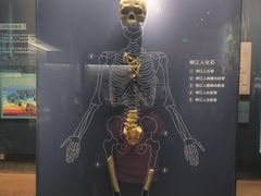 -柳州白莲洞洞穴科学博物馆