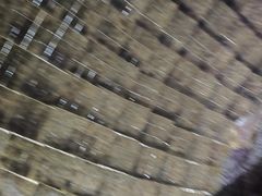 -周口店北京人遗址公园