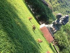 -南湾猴岛+椰田古寨一日游