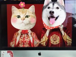 点击看大图 -Mu慕婚纱摄影·超级工作室