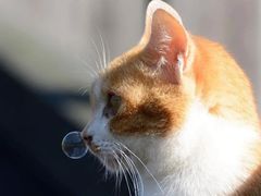 -欣达面馆(天桥支路店)