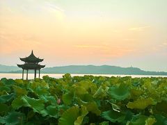 -杭州湖滨in77