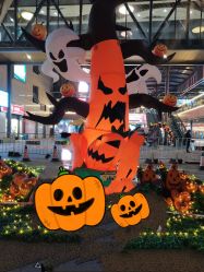 -酷嗒动物文化乐园(cutezoo西溪乐天城店)