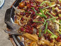 -老板恋上鱼(恒隆广场店)