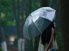 -合肥滨湖国家森林公园