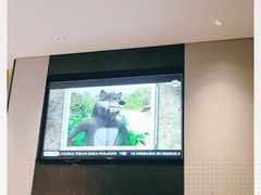 -新加坡瑞士史丹福酒店