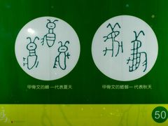 _MG_0047-上海昆虫博物馆