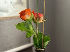 -觀芷隐轩