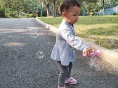 -东莞植物园