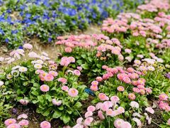 -武汉园博园(武汉自然博物馆)