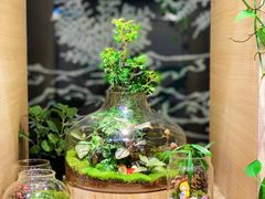 -光海书局(南京东路第一百货店)