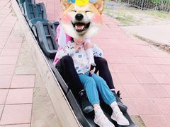 -富斯特索道