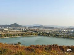 -羊山湖公园