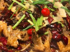 -老板恋上鱼(印象城店)