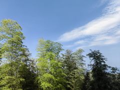 -蜀南竹海景区