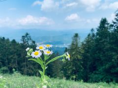 -罗田薄刀峰风景区