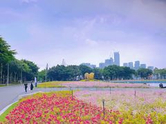 -海心沙亚运公园