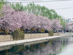 -海棠花溪(元大都城垣遗址公园)