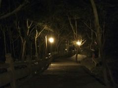 -普陀山风景区-佛顶山