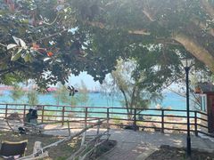 -玫瑰海岸文化旅游度假区