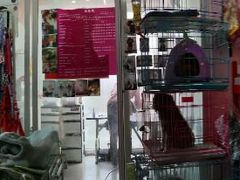 -唐小姐の猫狗洗护·购宠旗舰店(周浦万达店)