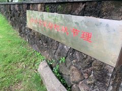 -王借岗森林公园
