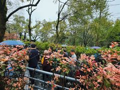 -韶山毛泽东同志故居