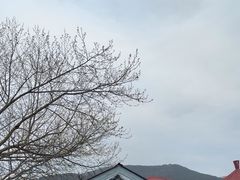 -望庐说·本地菜馆
