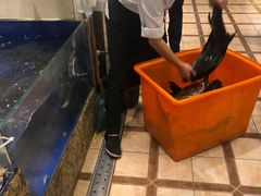 -高佳庄·舟山海鲜(海景旗舰店)