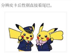 -国文影城(上海闸北店)