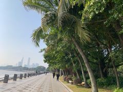 -深圳湾公园(南山区)