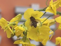 -何师烧烤Pro ·小龙虾·江湖川菜·精酿啤酒(太古里店)