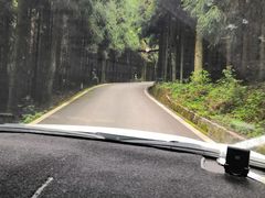 -武陵山森林公园