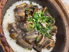 -红星光发煲仔饭(大石街店)