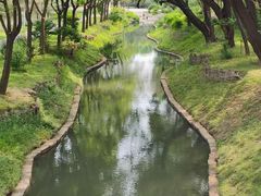 -莲花池公园