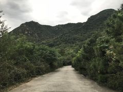 -阳台山自然风景区