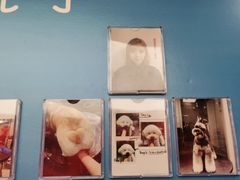 -宠物家(双井店)