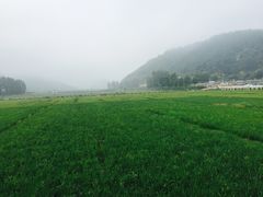 -南泥湾风景区