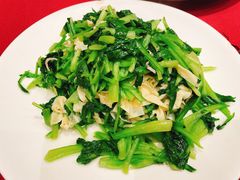 鸡毛菜百叶丝-老吉士酒家(天平路店)