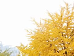 -辽宁大学(崇山校区)