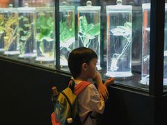 -广东中医药博物馆
