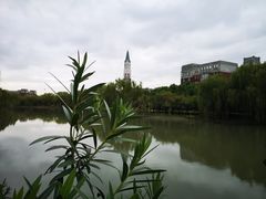 -华东政法大学(松江校区)
