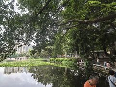 -荔湾湖公园
