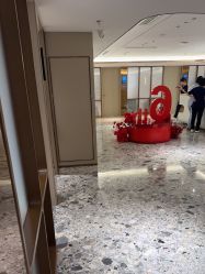 -北京漾格医疗美容医院