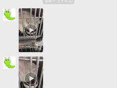 -宠宠动物医院(金鸡岭街店)